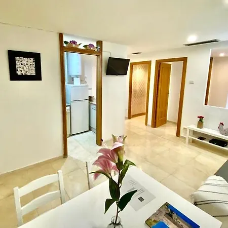 Carol's Ii Apartment Zaragoza