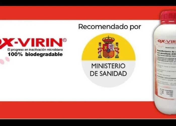 Apartment Carol's Ii *